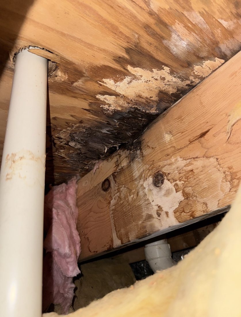 Moisture damage and wood decay around a plumbing penetration found during a crawlspace inspection