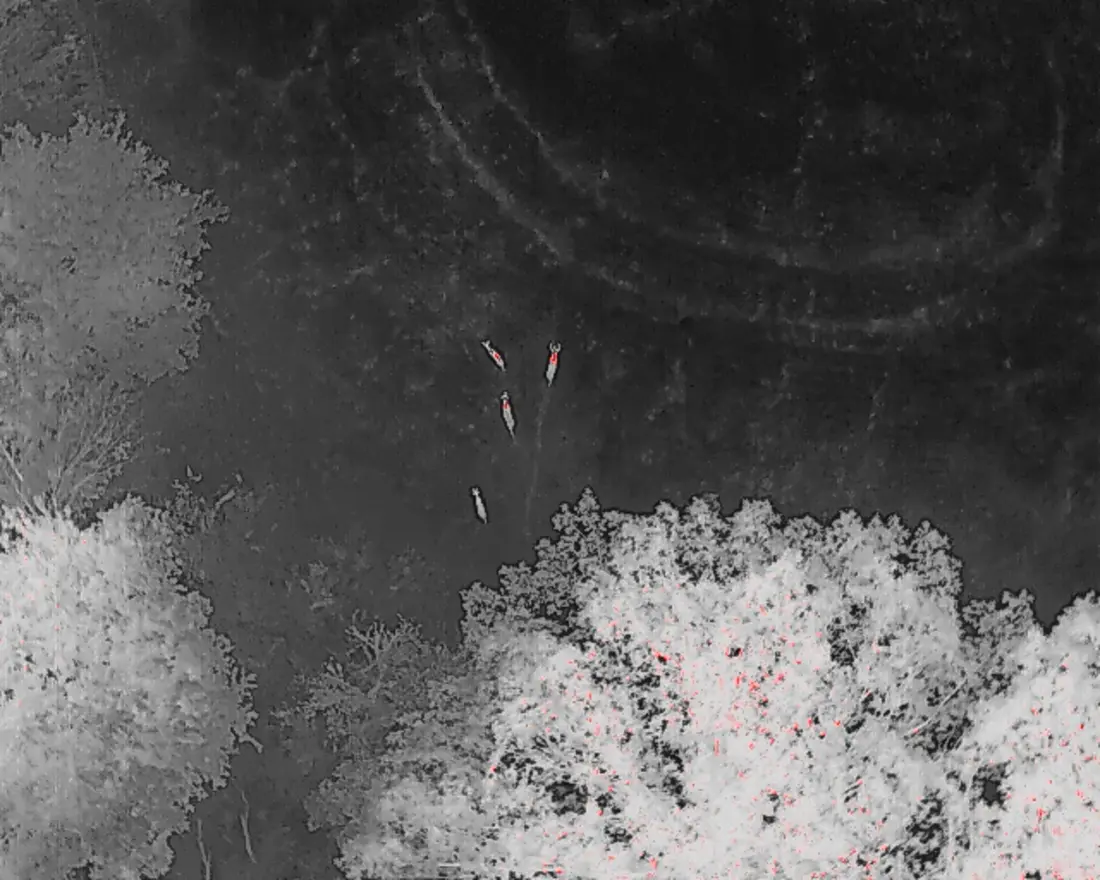 Aerial thermal image showing four deer as bright warm shapes in an open field beside a dark tree line